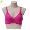 SIFGCOT-01 Sophi IFG Corina Cotton Bra - Image 11